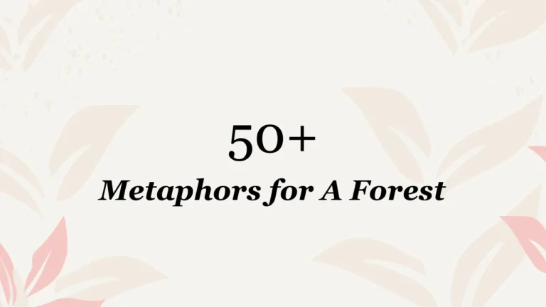 50+ Metaphors for A Forest
