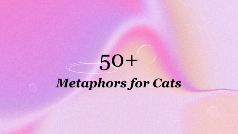 50+ Metaphors for Cats