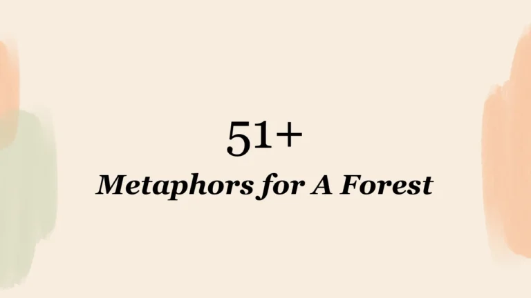 51+ Metaphors for A Forest