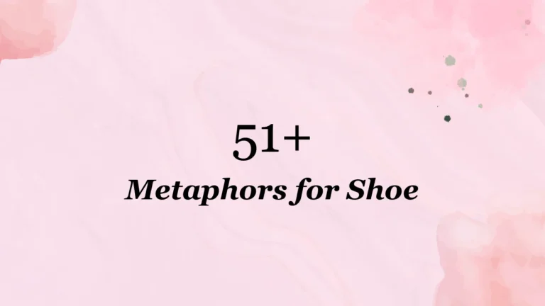 51+ Metaphors for Shoe