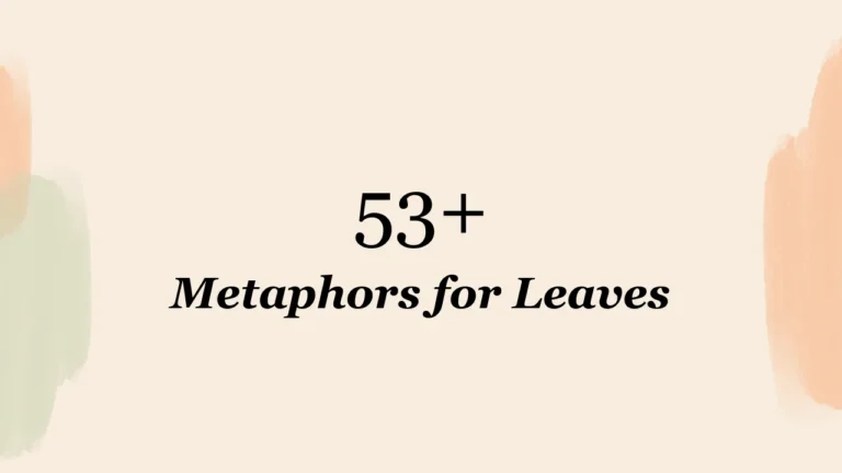 53+ Metaphors for Leaves