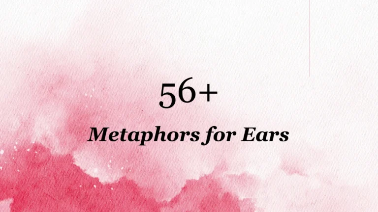 56+ Metaphors for Ears
