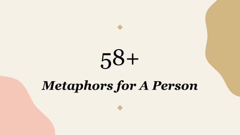 58+ Metaphors for A Person
