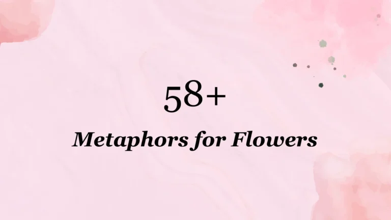 58+ Metaphors for Flowers