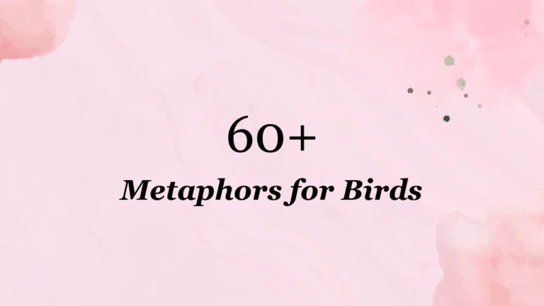 60+ Metaphors for Birds