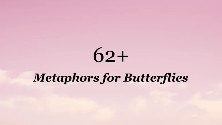 62+ Metaphors for Butterflies