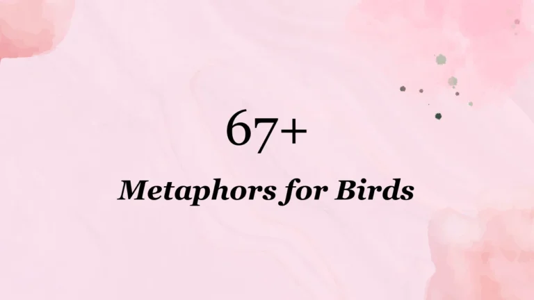 67+ Metaphors for Birds