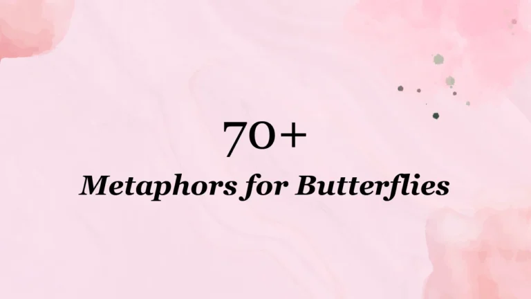 70+ Metaphors for Butterflies