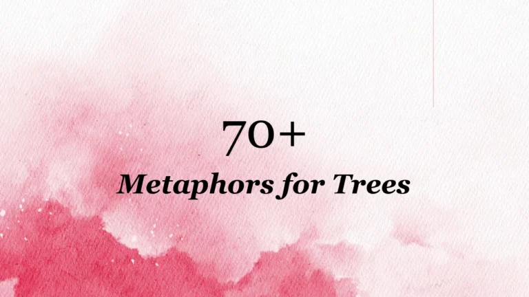 70+ Metaphors for Trees